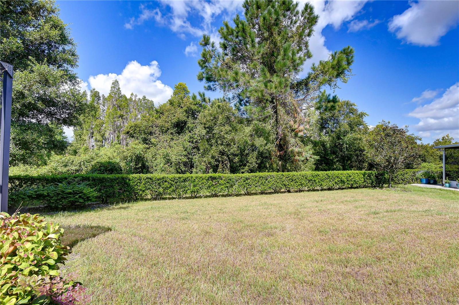 1127 WRIGHTSWYNDE CT — photo 21