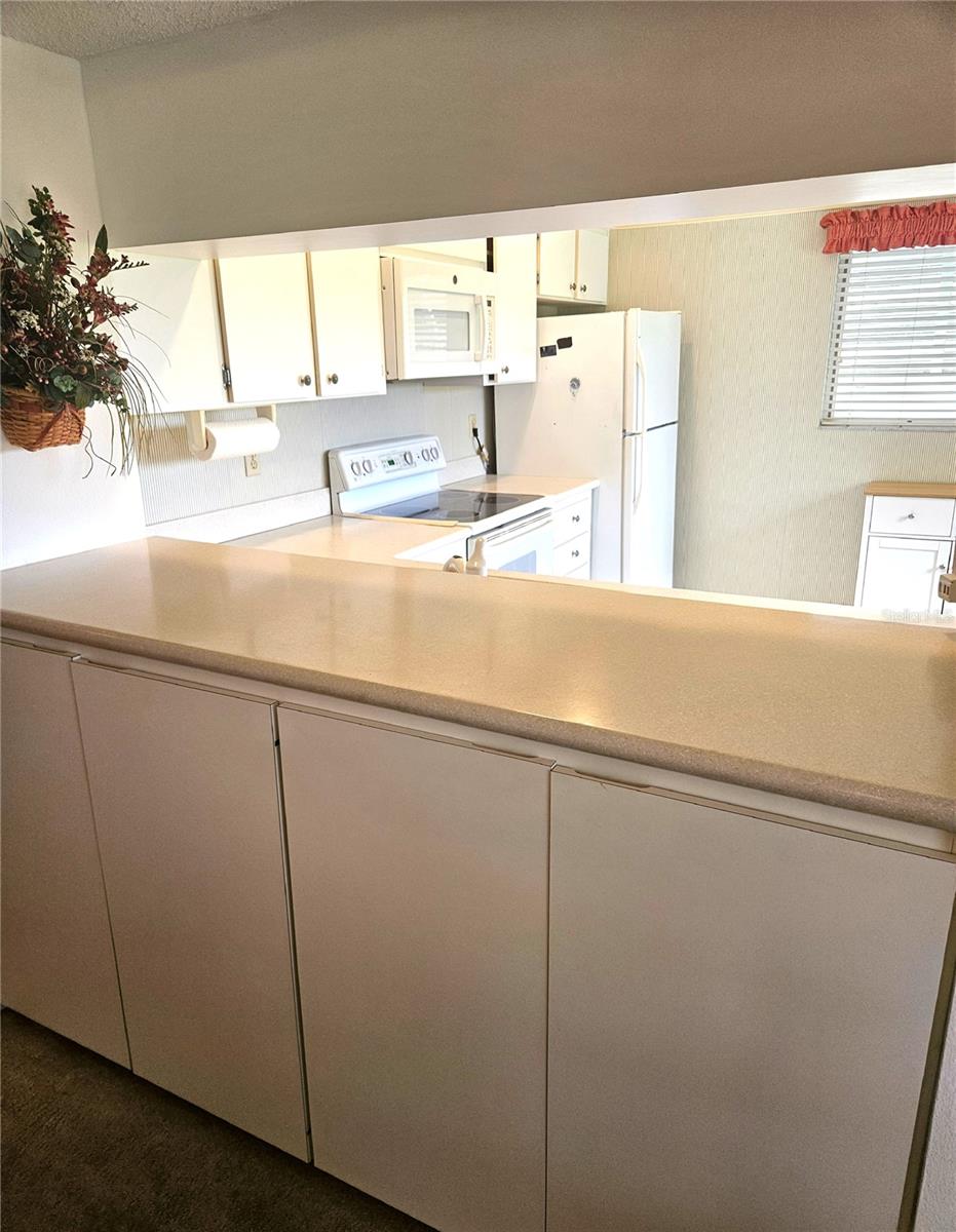 418 CERROMAR CT #257 — photo 9