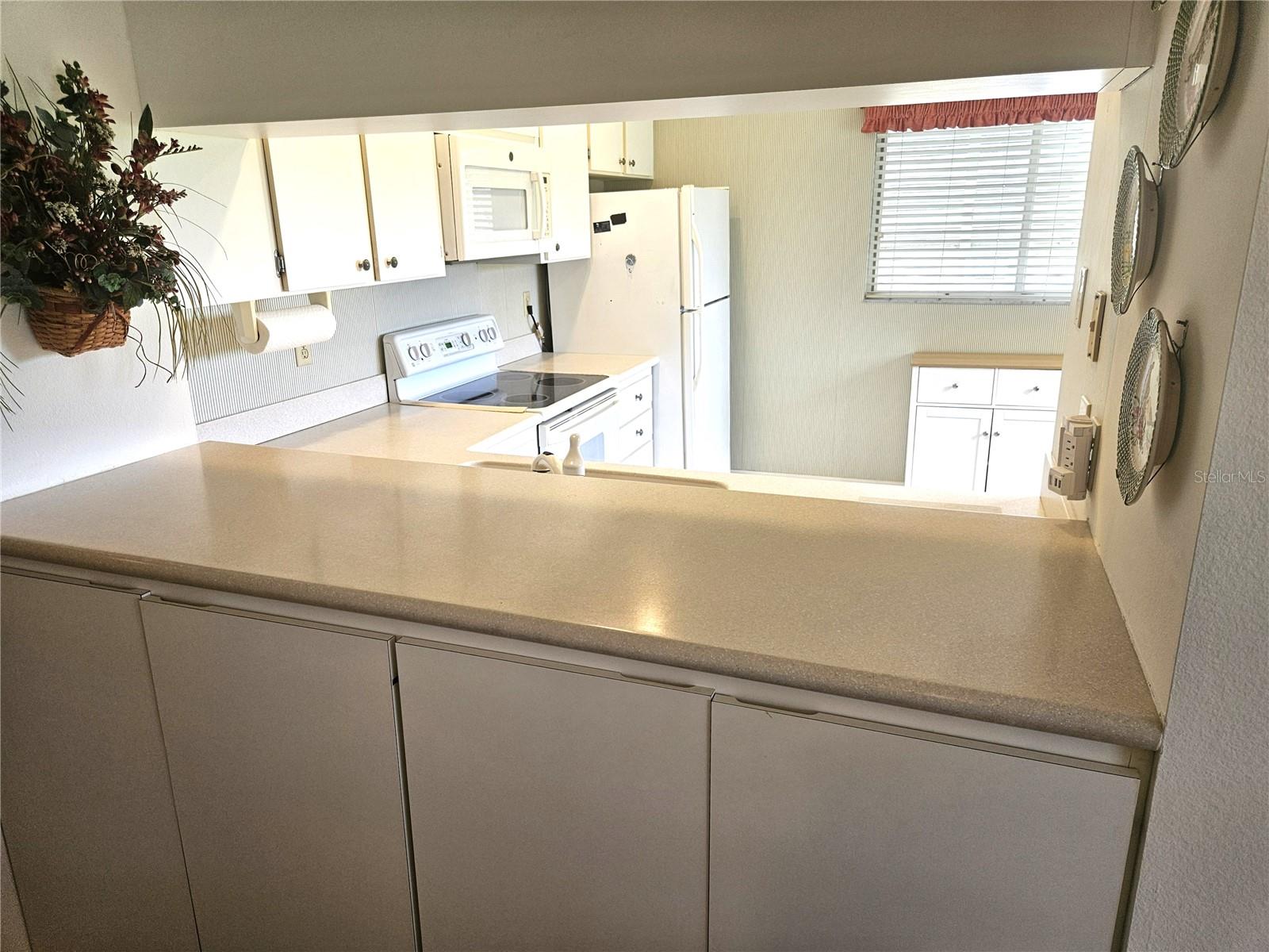 418 CERROMAR CT #257 — photo 8