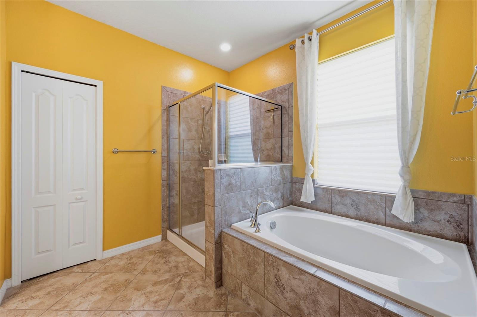 5009 JAGGED CLOUD DR — photo 54