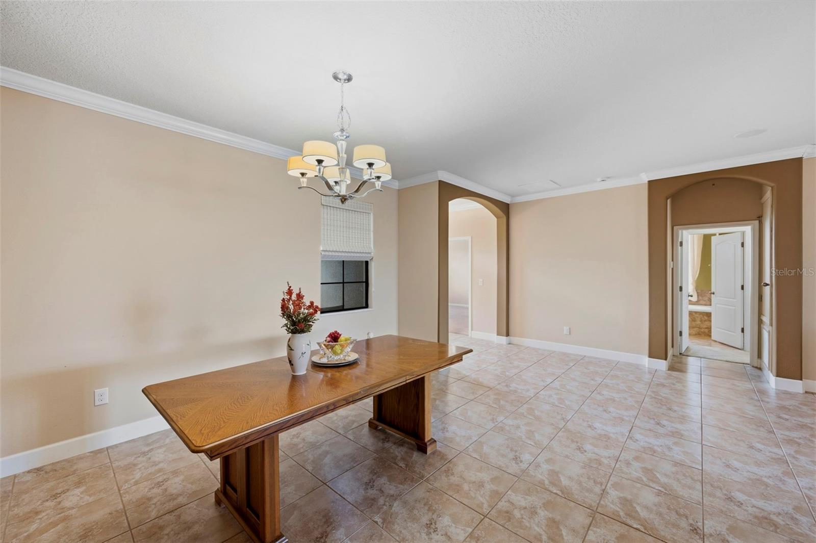 5009 JAGGED CLOUD DR — photo 11
