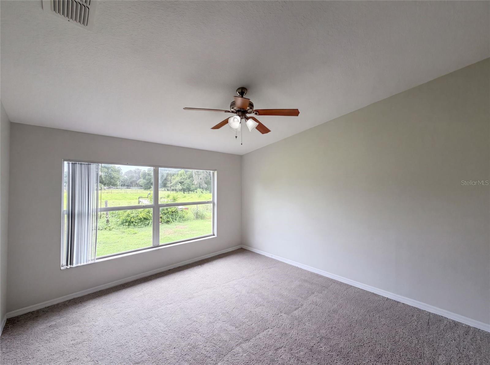 37209 GRASSY HILL LN — photo 19