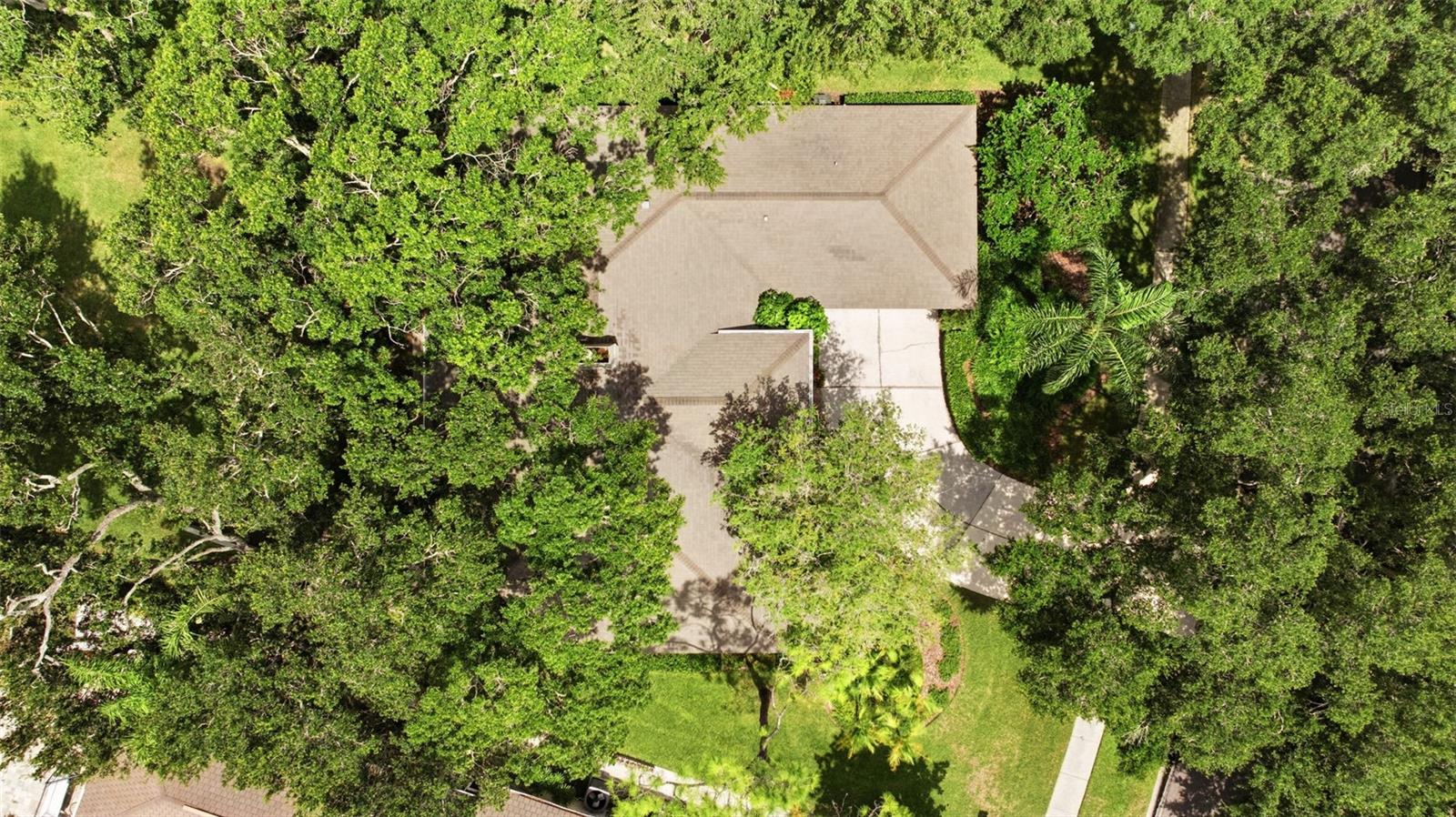 16416 WINDSOR PARK DR — photo 61