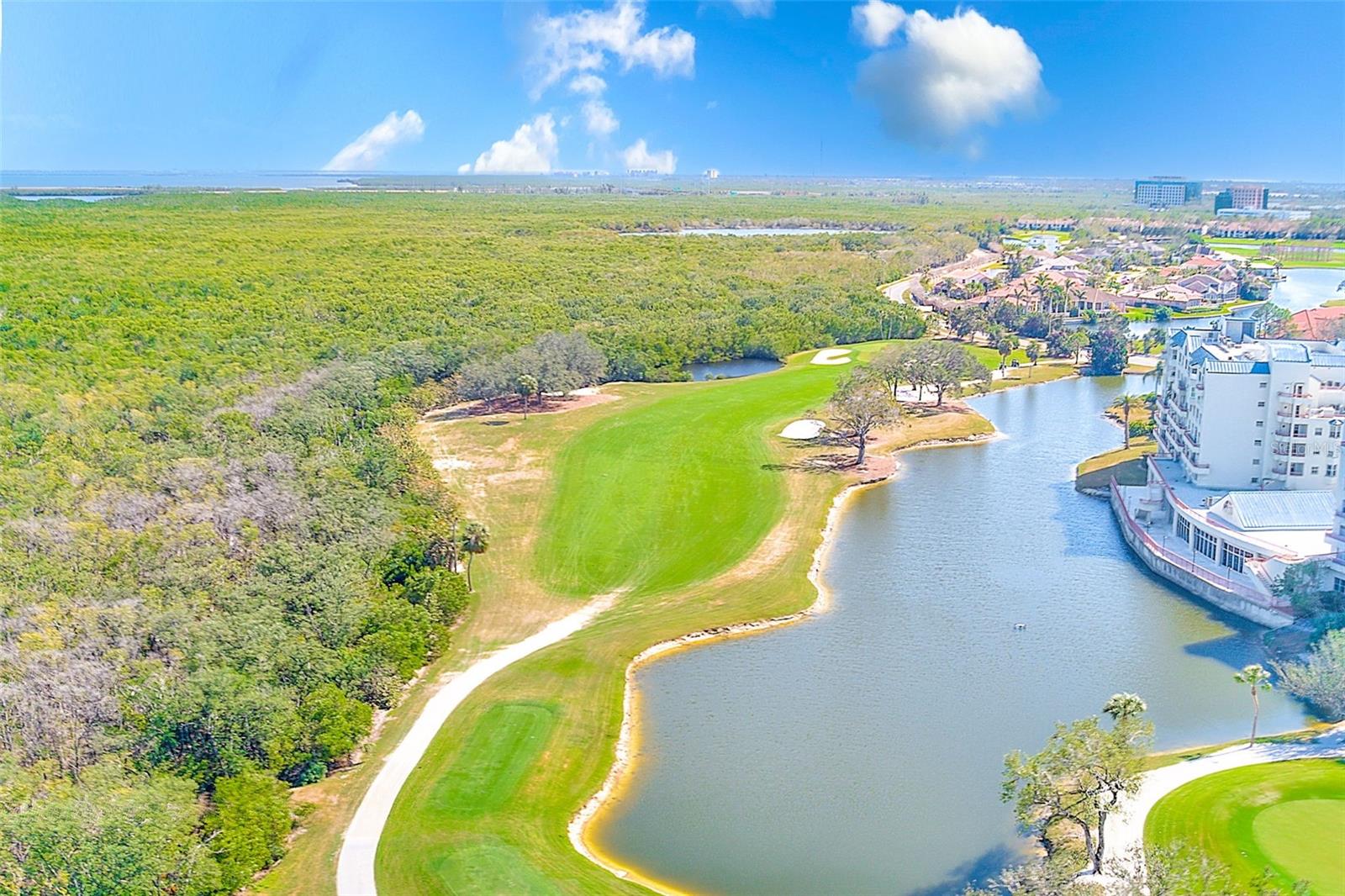 2323 FEATHER SOUND DR #205 — photo 32