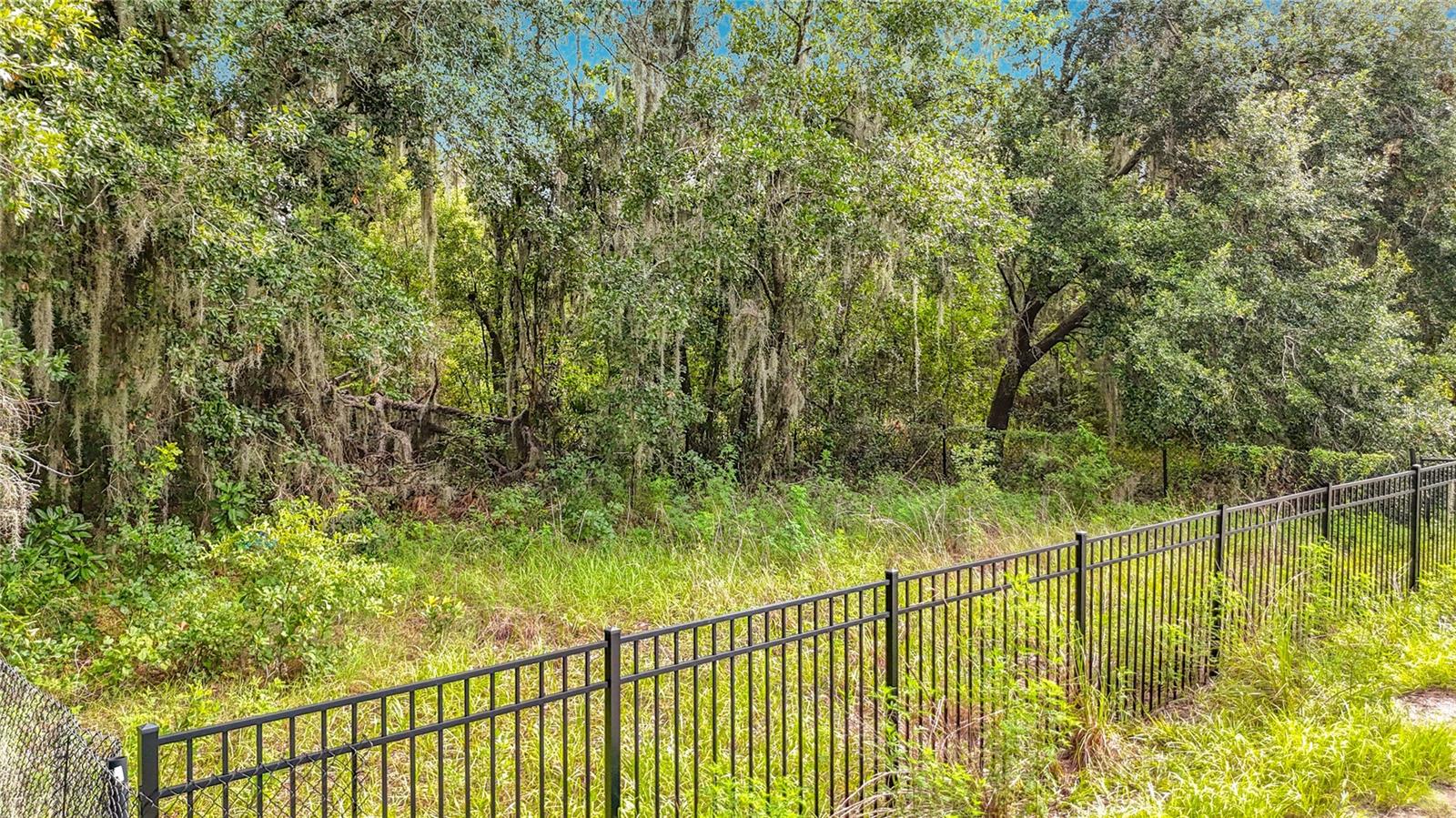 10623 LITHIA ESTATES DR — photo 49