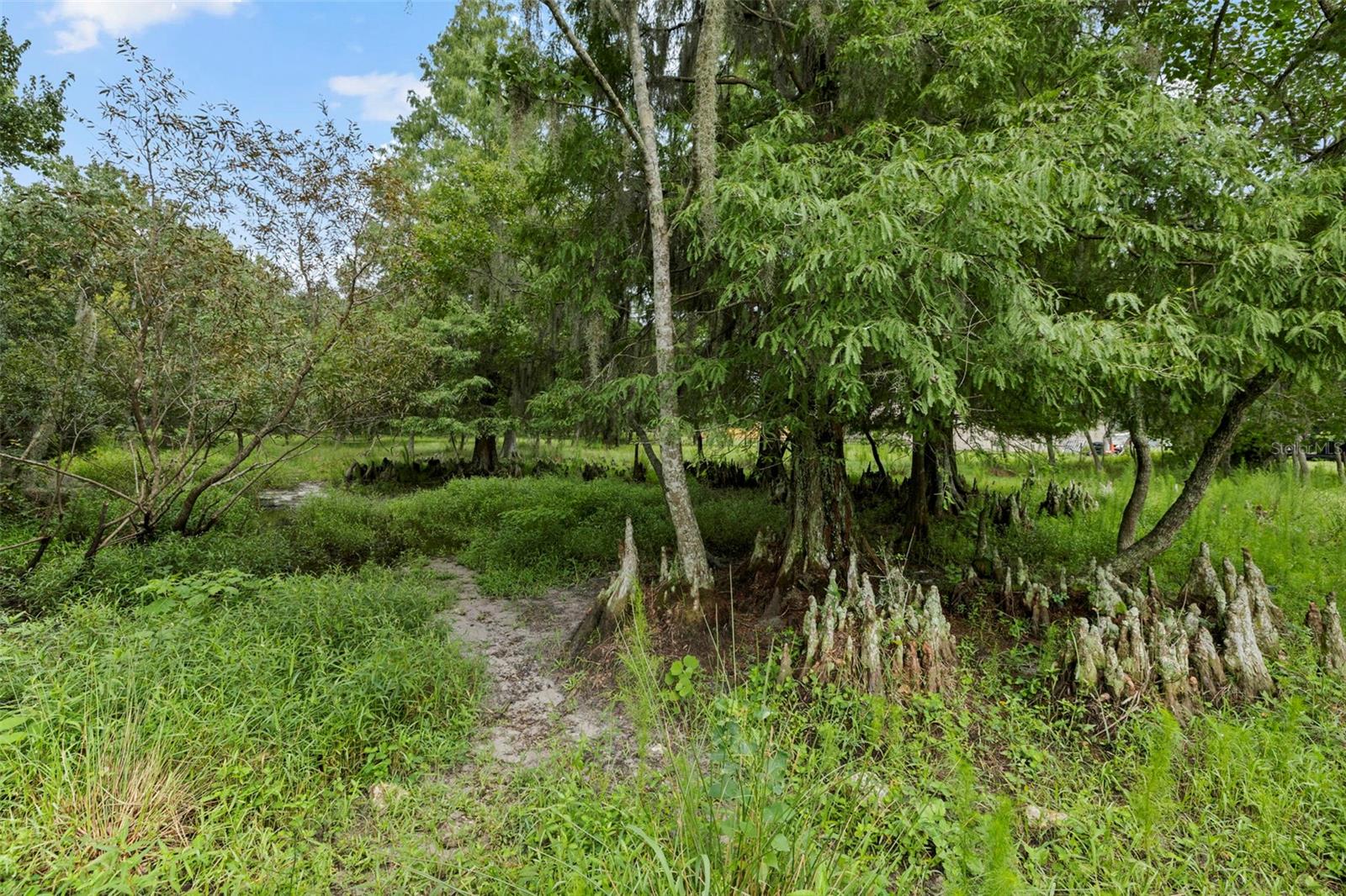 6930 MUCK POND RD — photo 6