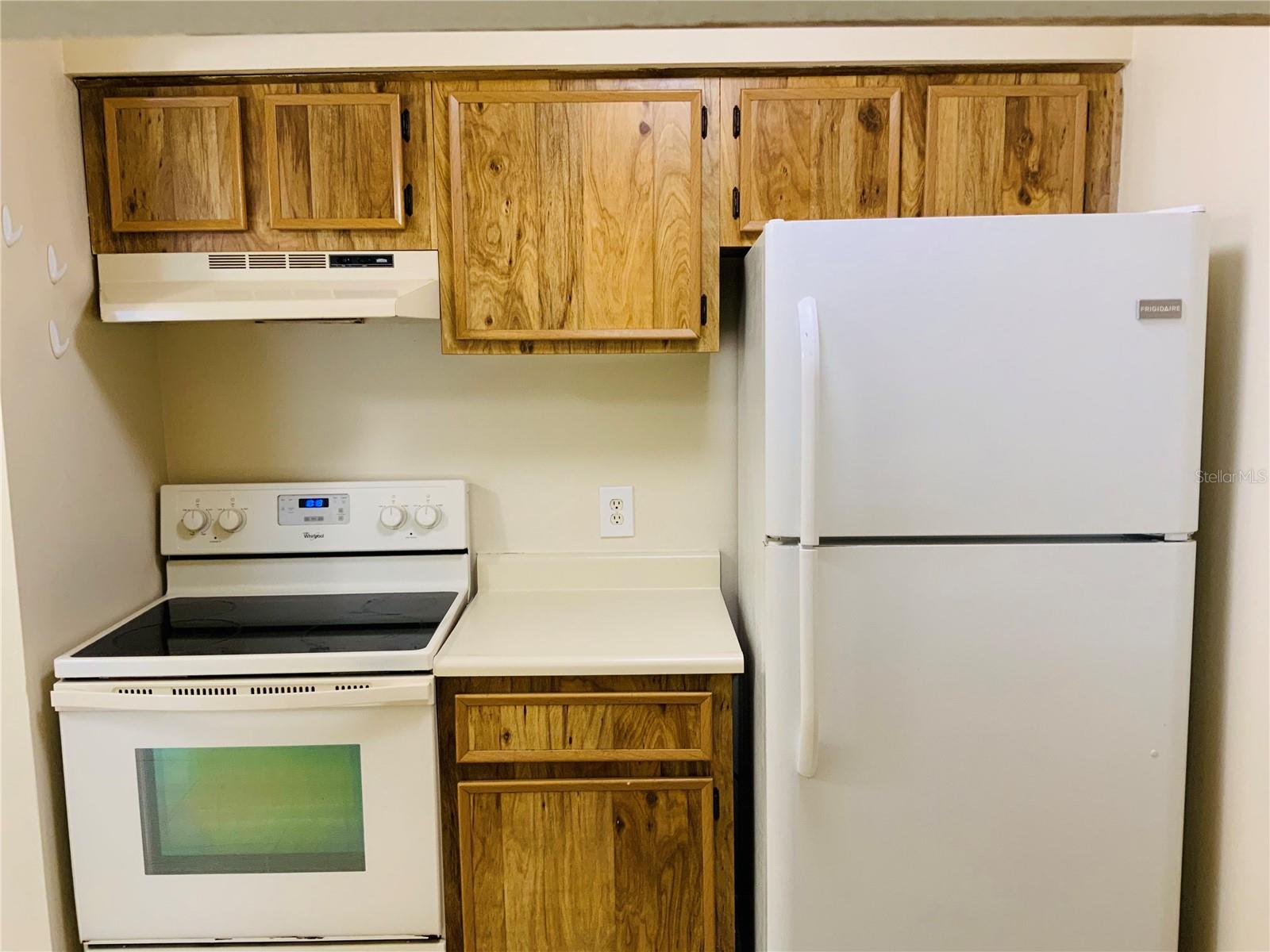14409 HANGING MOSS CIR #102 — photo 9
