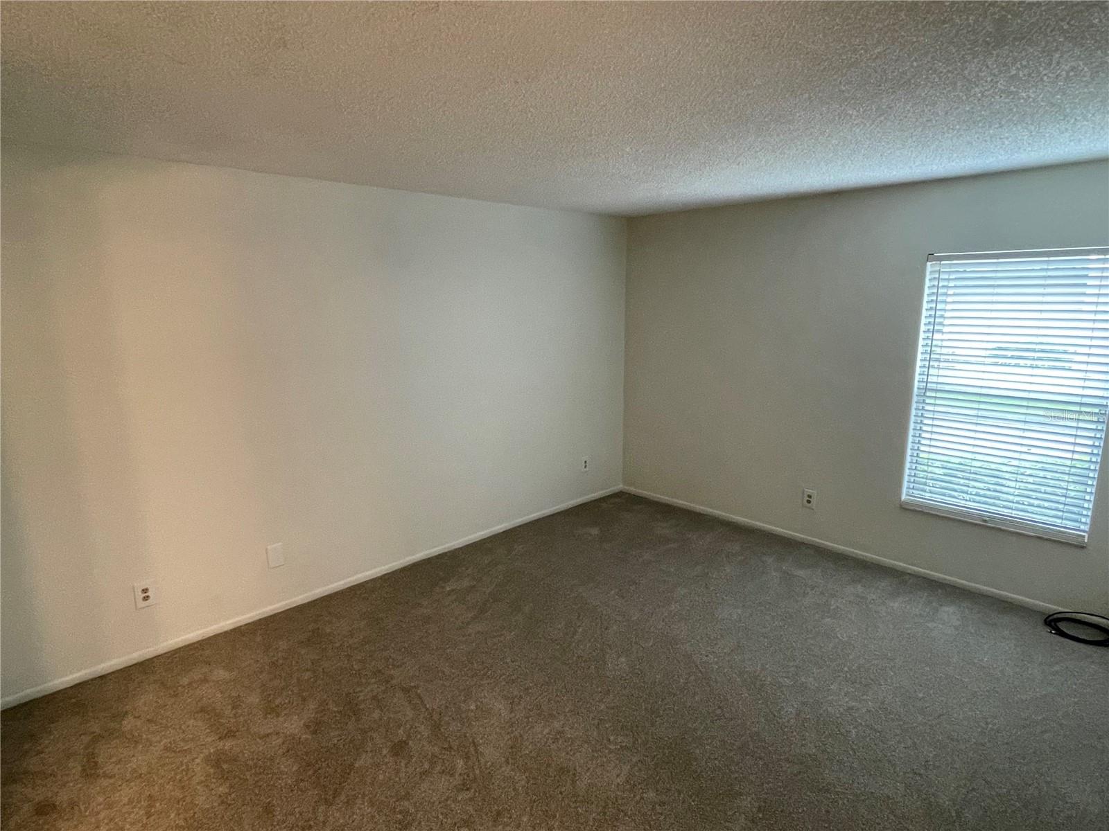 14308 HANGING MOSS CIR #101 — photo 11