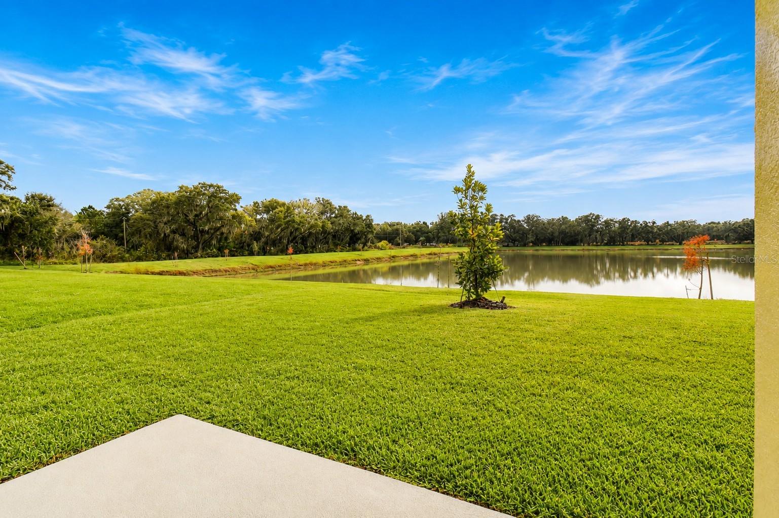 38190 SHALE STONE CT — photo 62