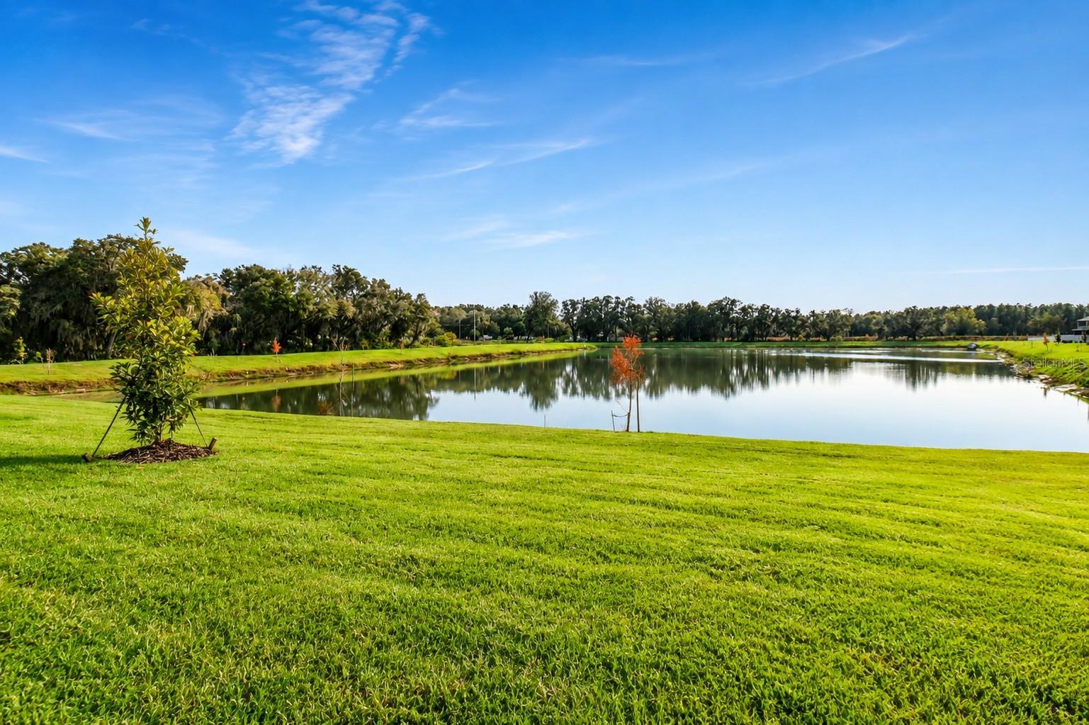 38190 SHALE STONE CT — photo 63
