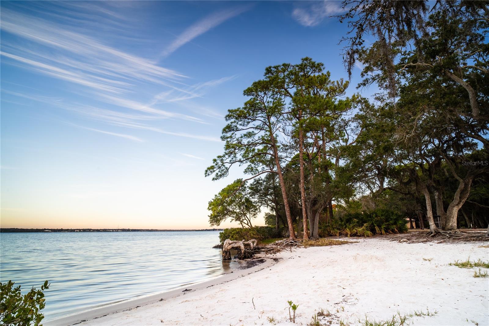 650 TIMBER BAY CIR W — photo 39