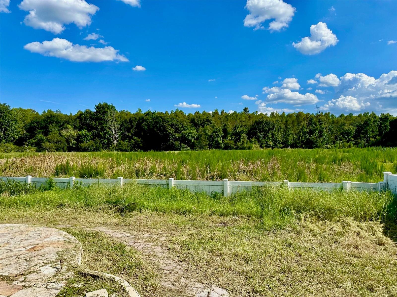 2904 TRINITY COTTAGE DR — photo 58
