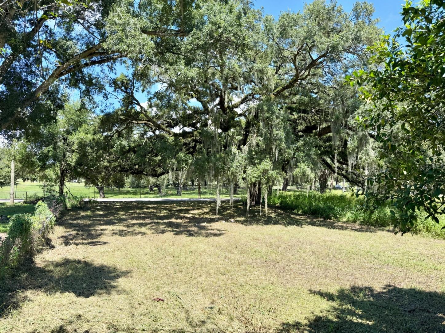 4621 E LAKE AVE — photo 5
