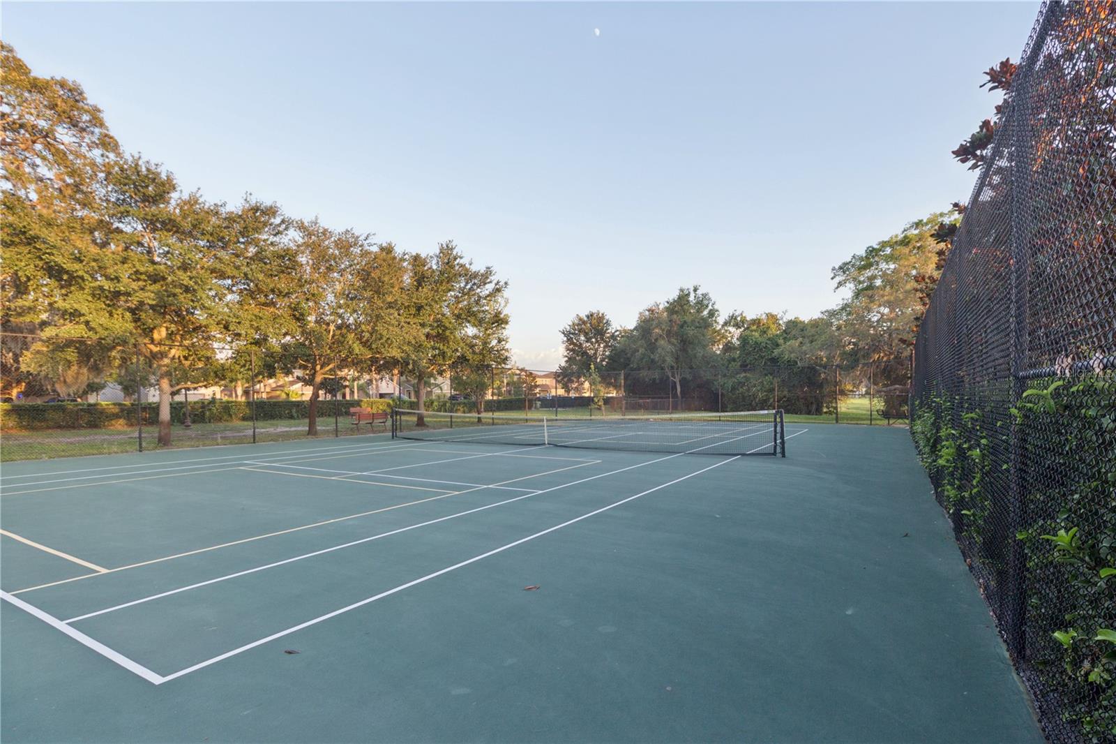13743 NEWPORT SHORES DR — photo 37