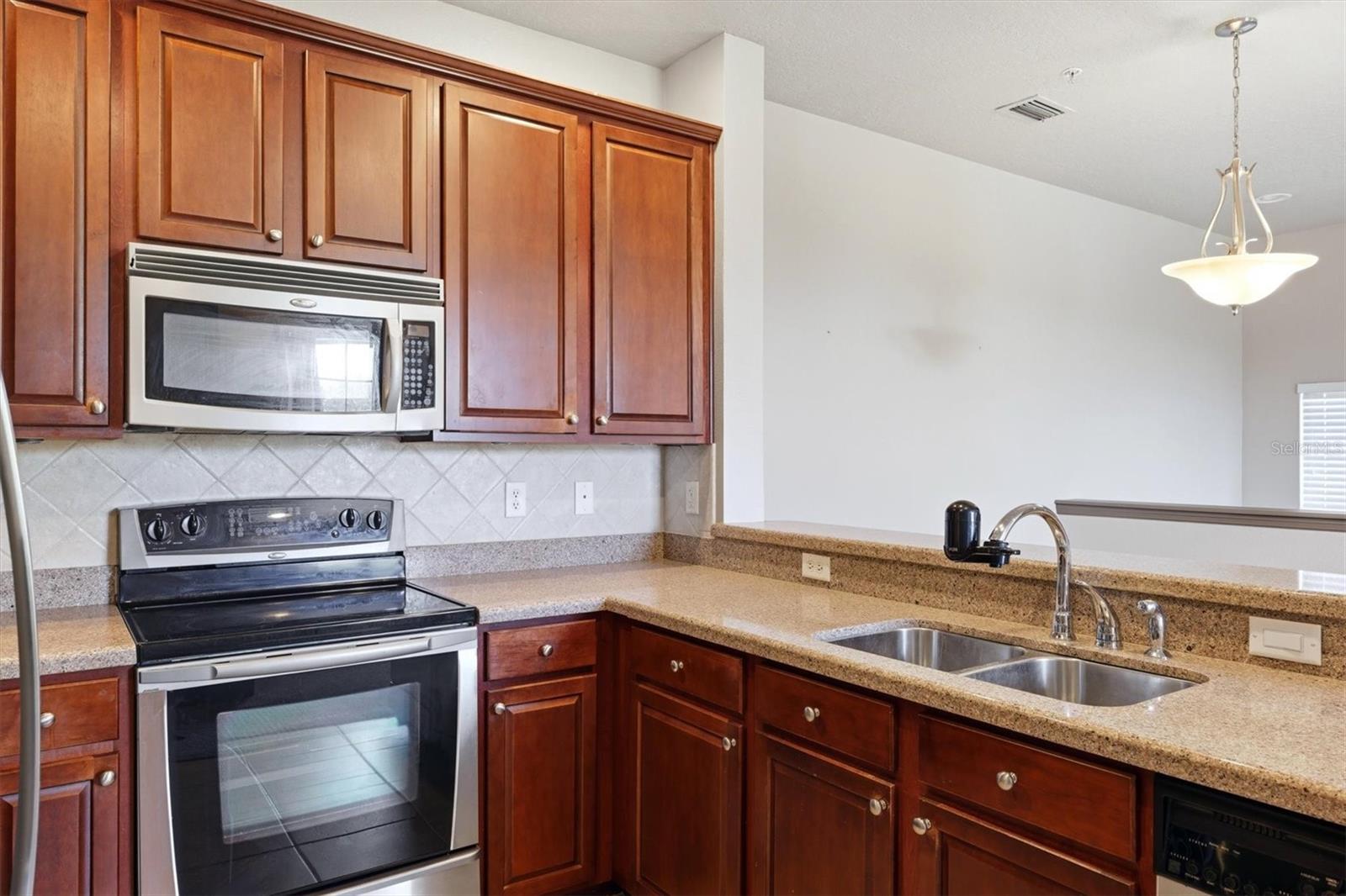 8098 MOONSTONE DR #17-203 — photo 19