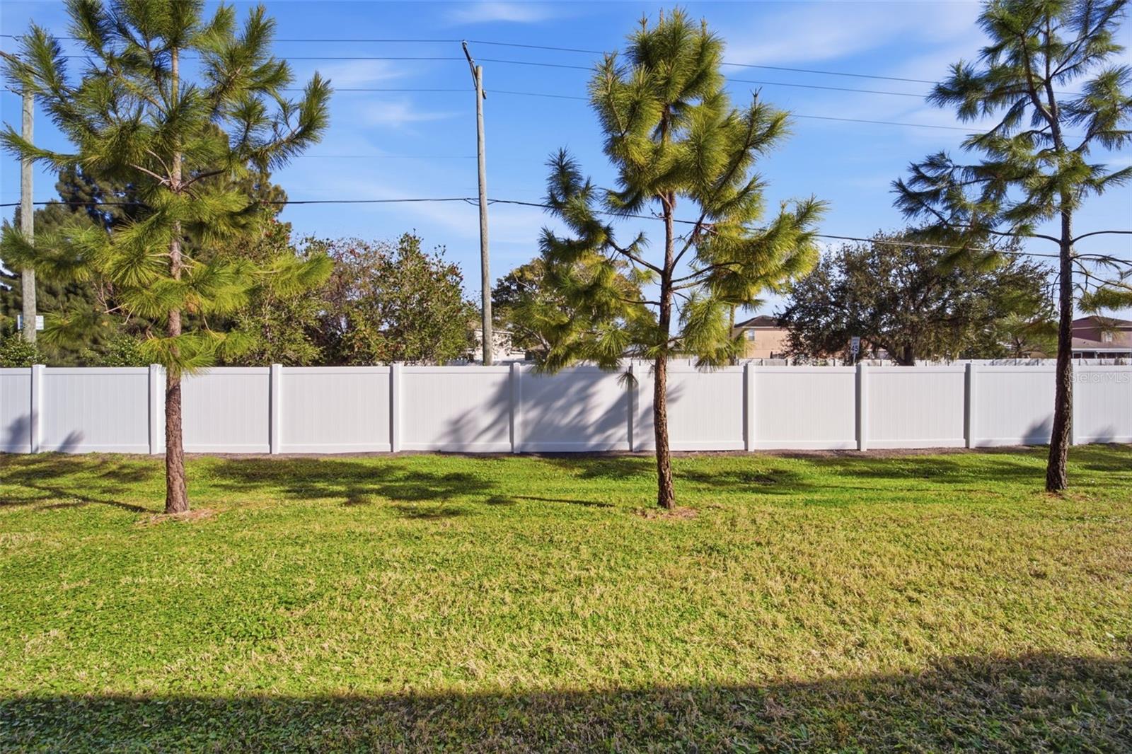 4459 GLOBE THISTLE DR — photo 5