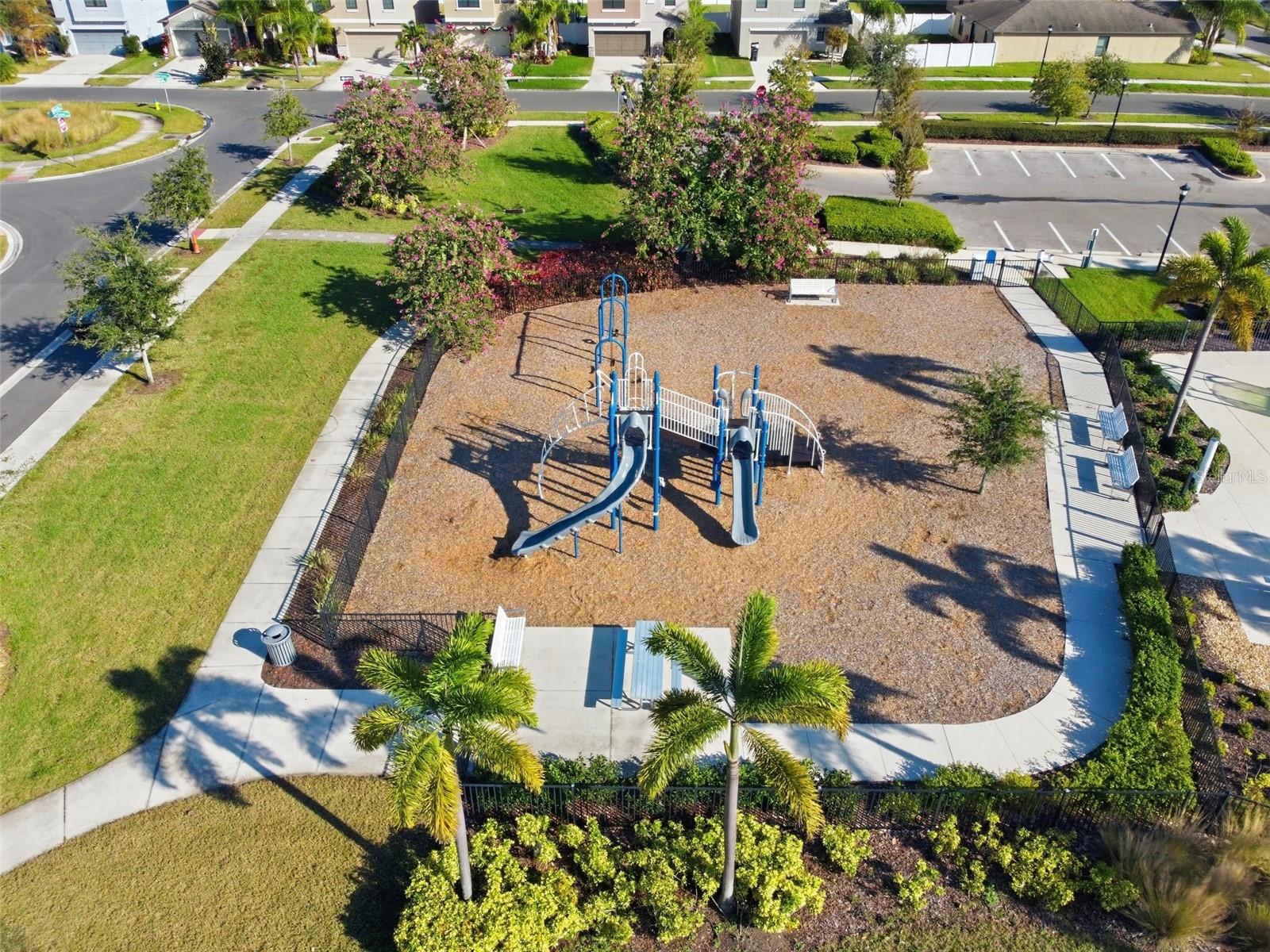4459 GLOBE THISTLE DR — photo 45