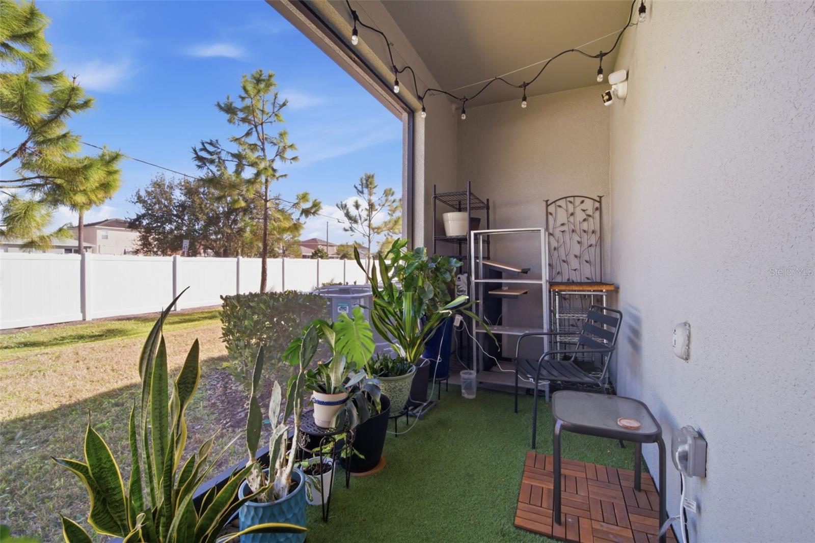 4459 GLOBE THISTLE DR — photo 10