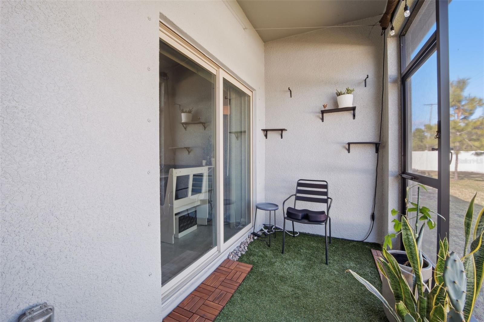 4459 GLOBE THISTLE DR — photo 40
