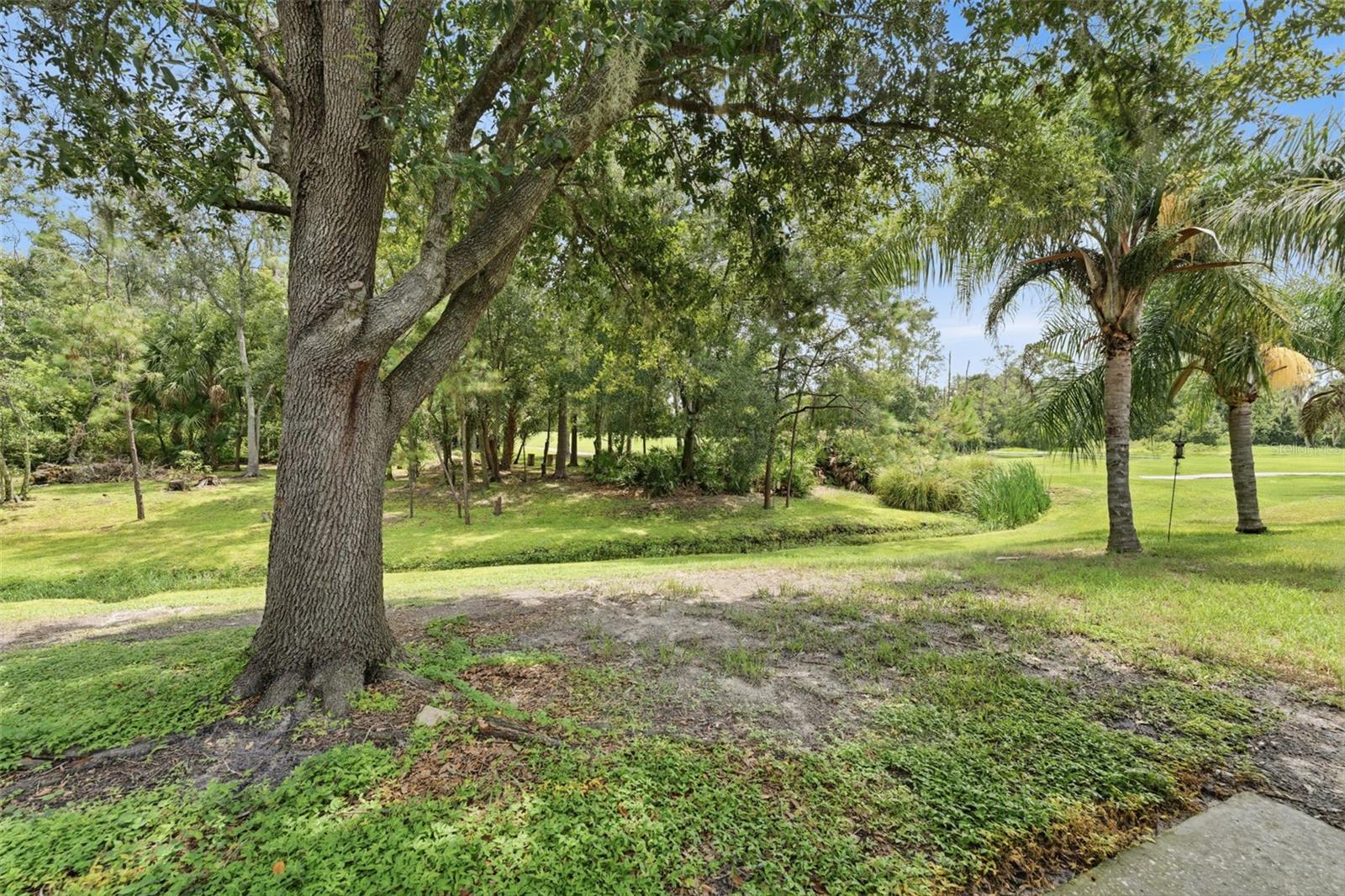5852 AUTUMN SHIRE — photo 4