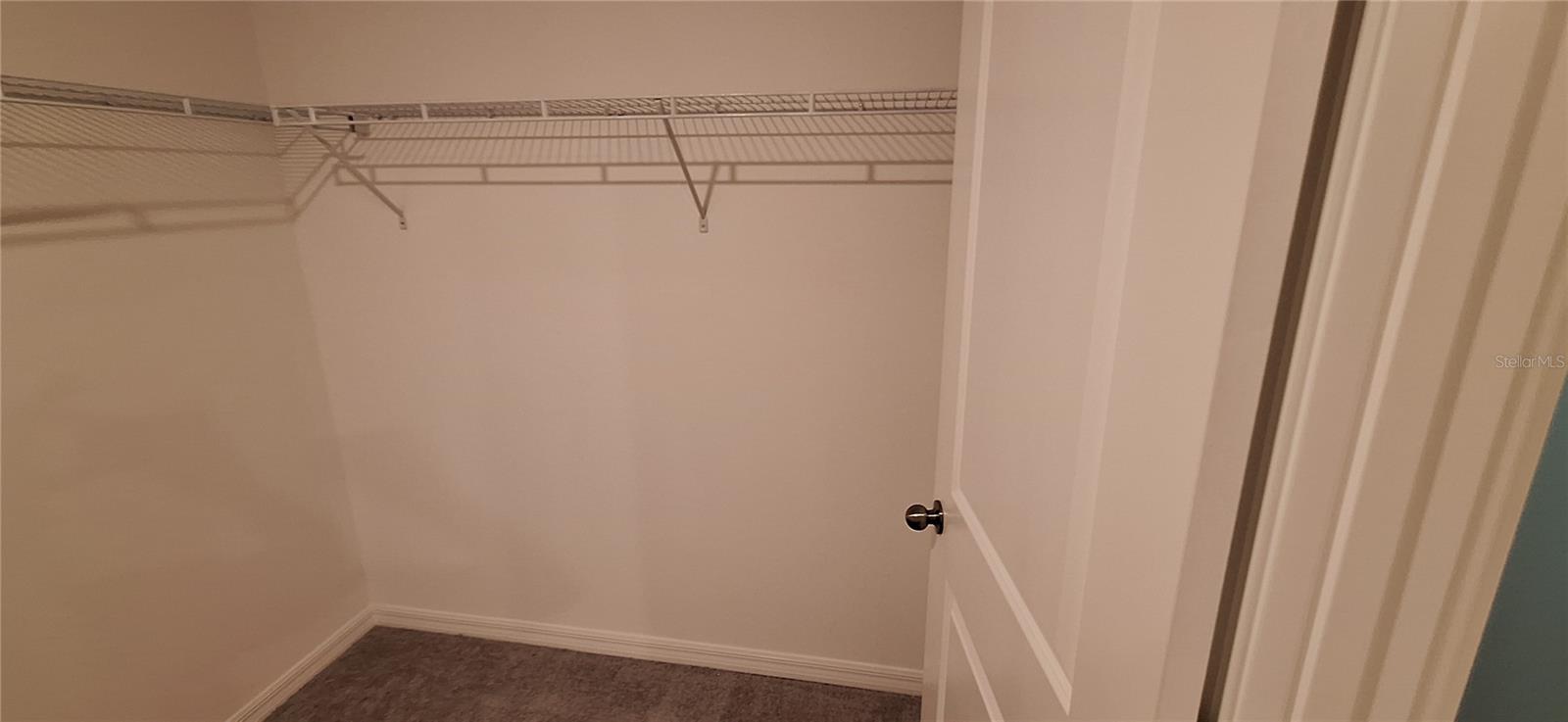 39934 DAWSON CHASE DR — photo 8