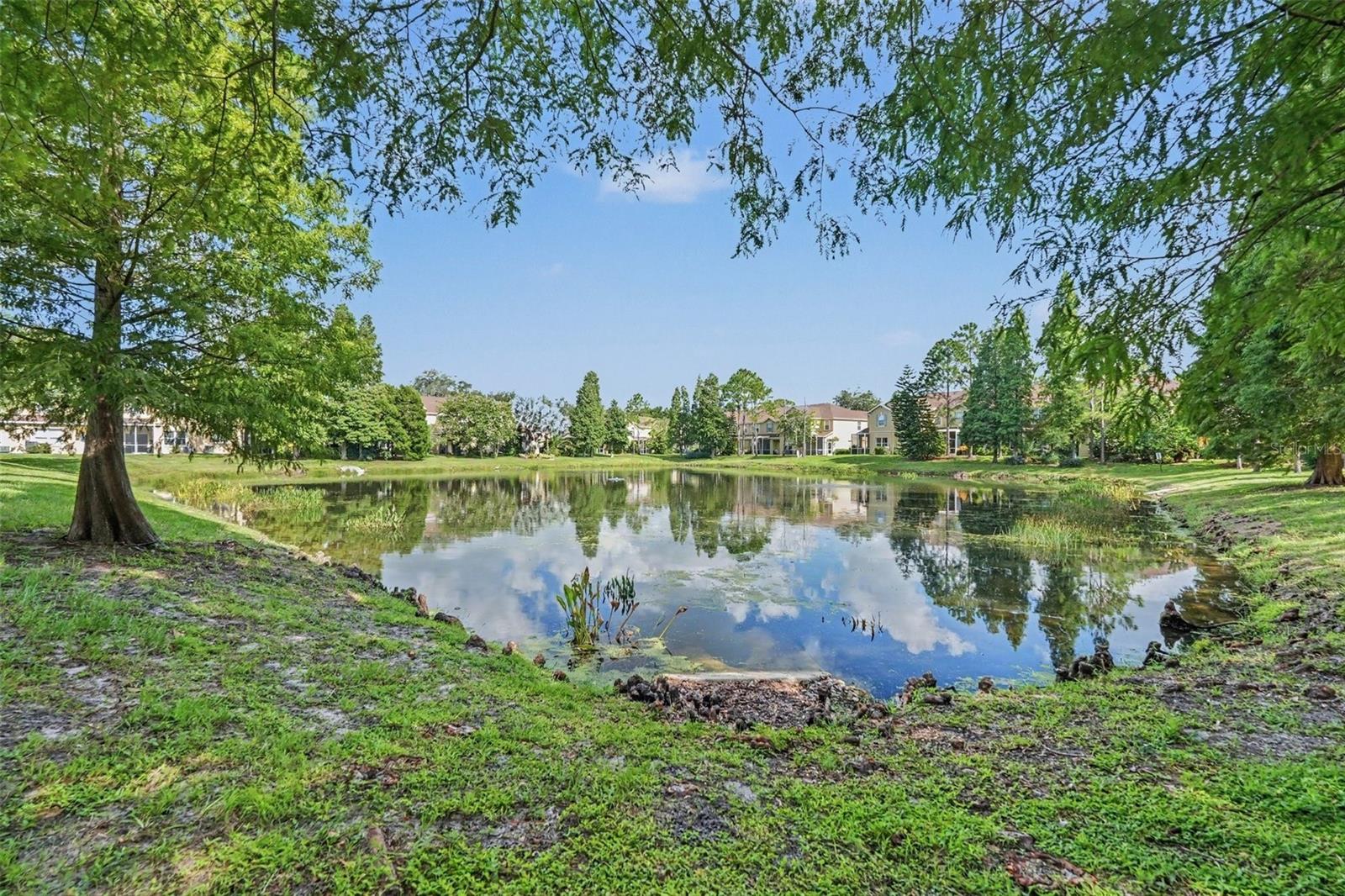 10536 SHADY FALLS CT — photo 28