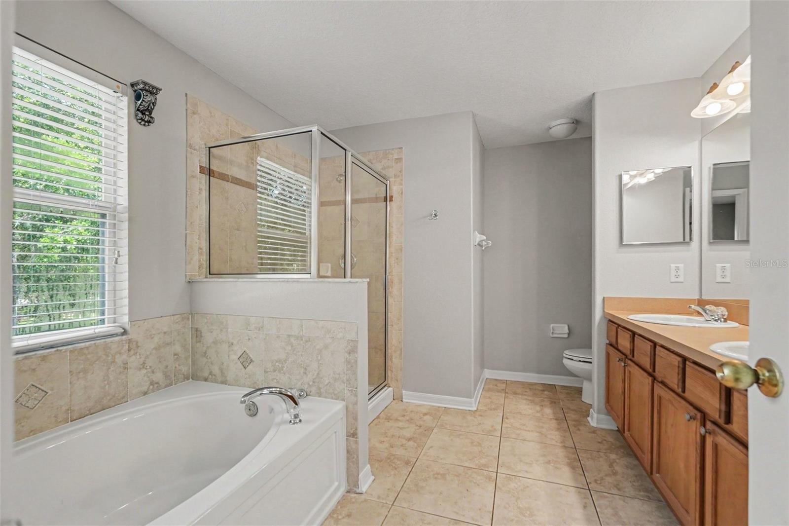 10536 SHADY FALLS CT — photo 11