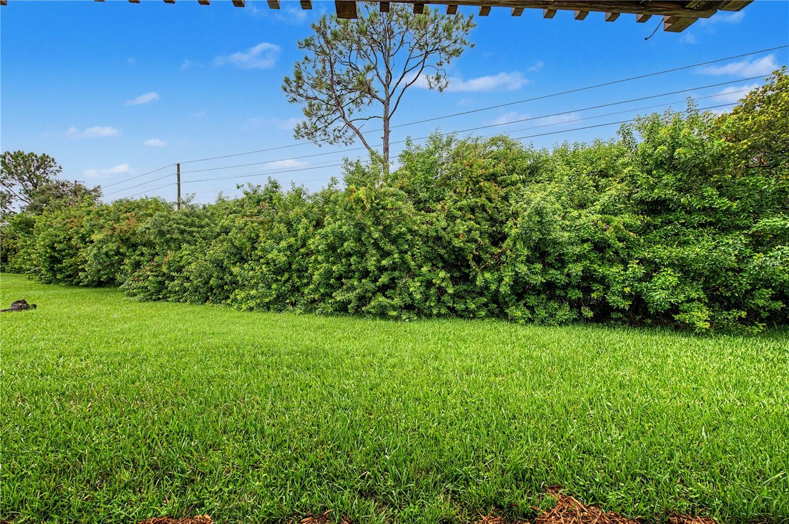 123 LOBLOLLY CT #A — photo 24