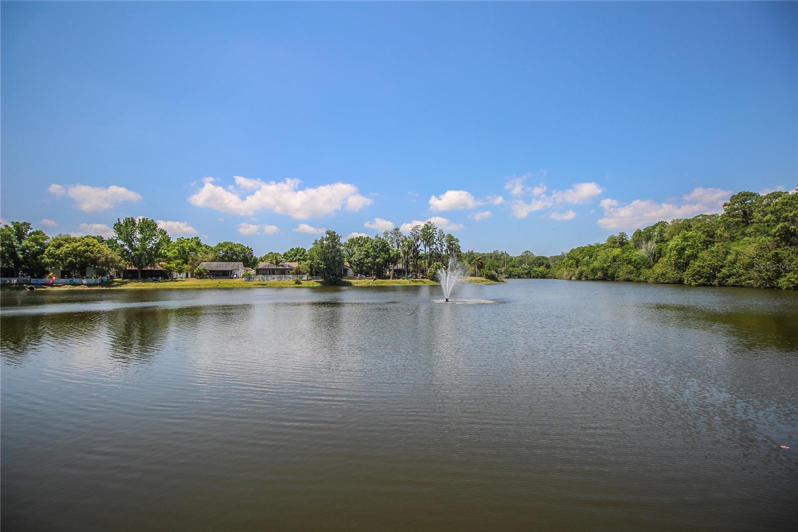 123 LOBLOLLY CT #A — photo 39