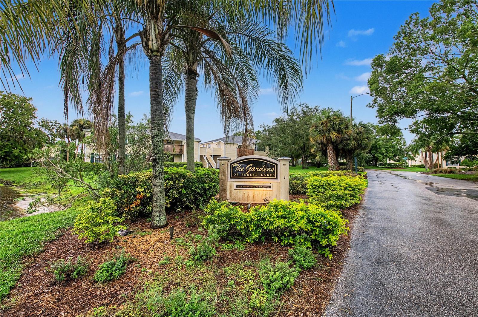 123 LOBLOLLY CT #A — photo 36