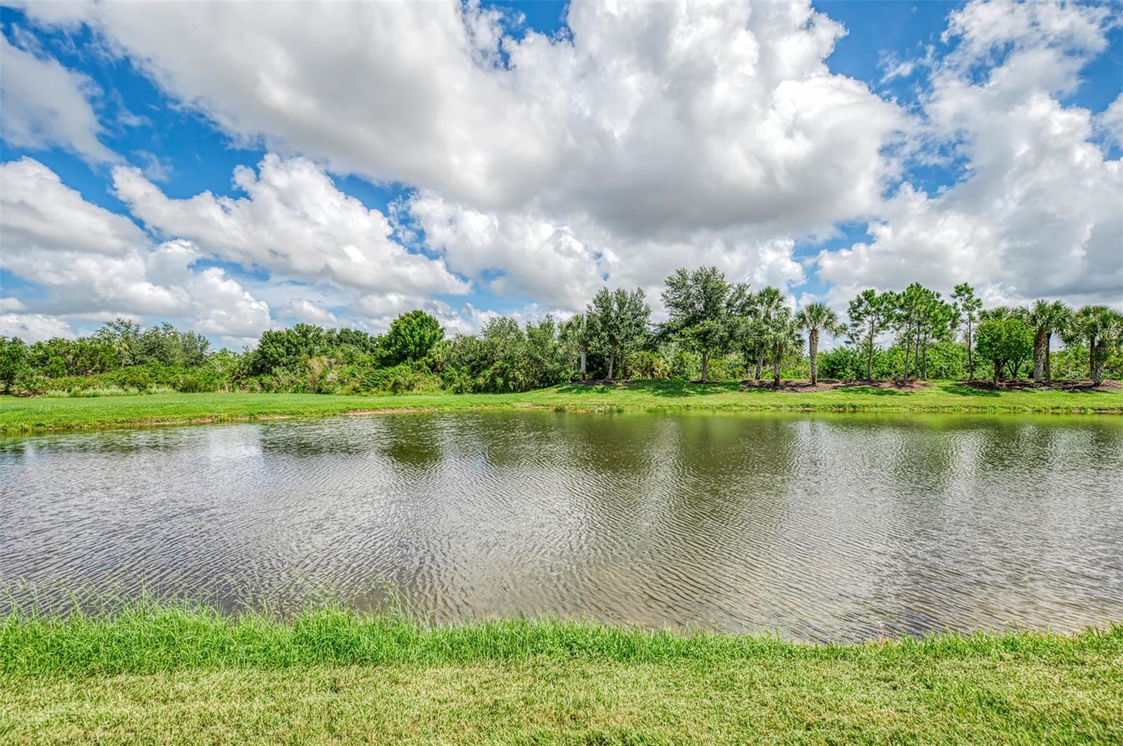 10908 BULLRUSH DR — photo 74