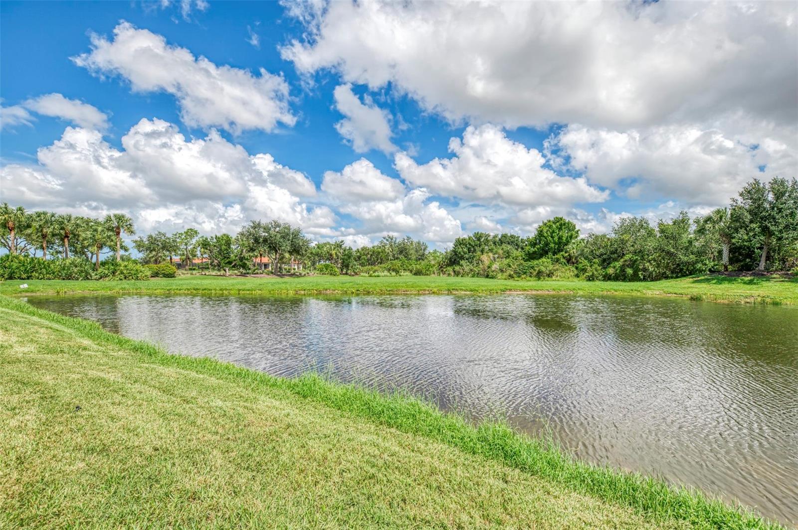 10908 BULLRUSH DR — photo 73