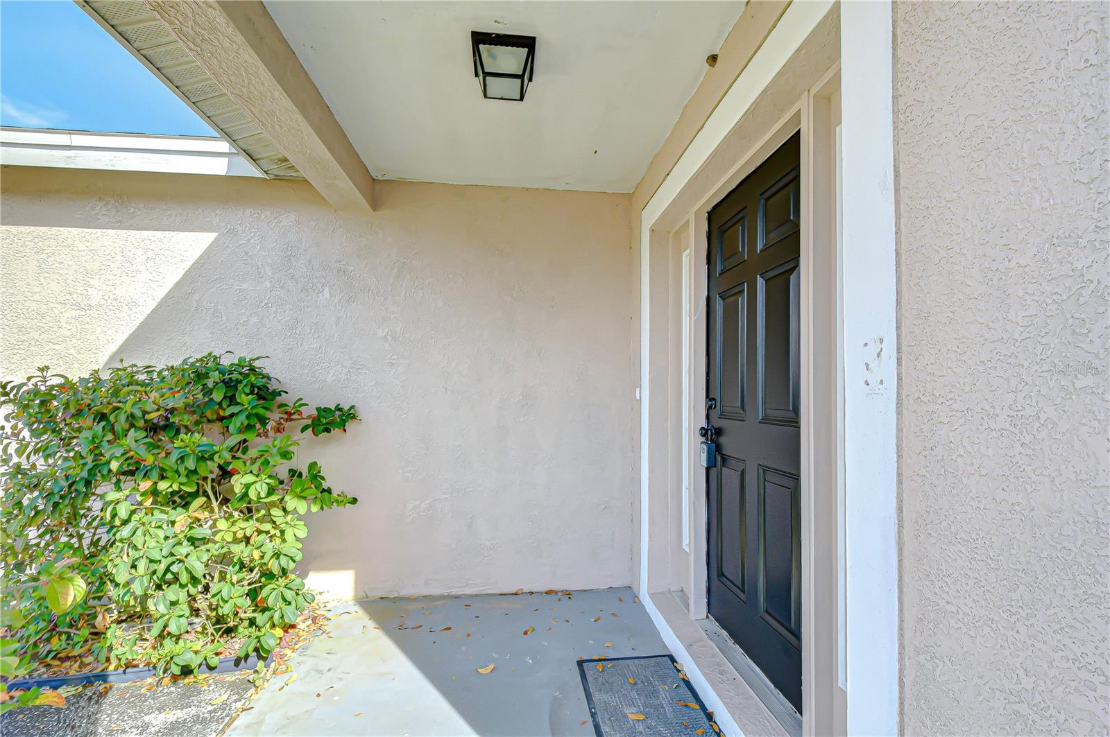24640 SIENA DR — photo 6