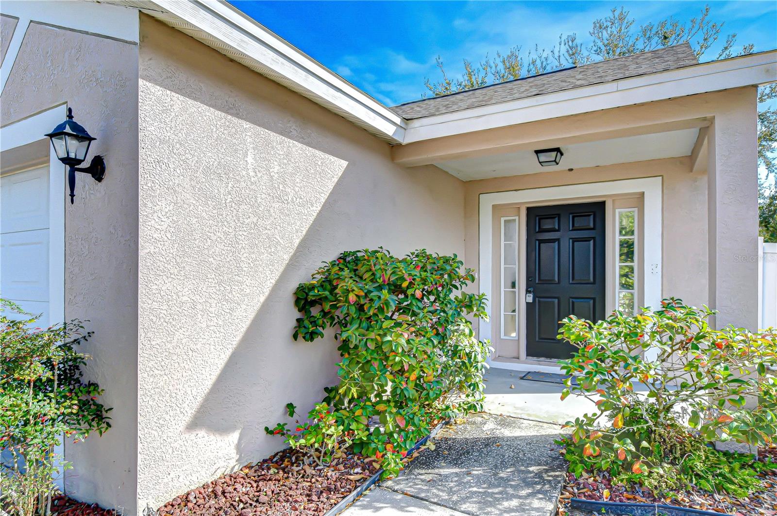 24640 SIENA DR — photo 5