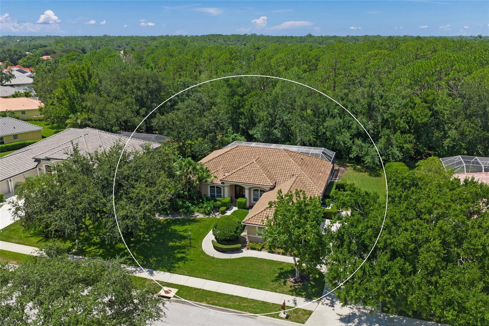 8488 EAGLE PRESERVE WAY — photo 40