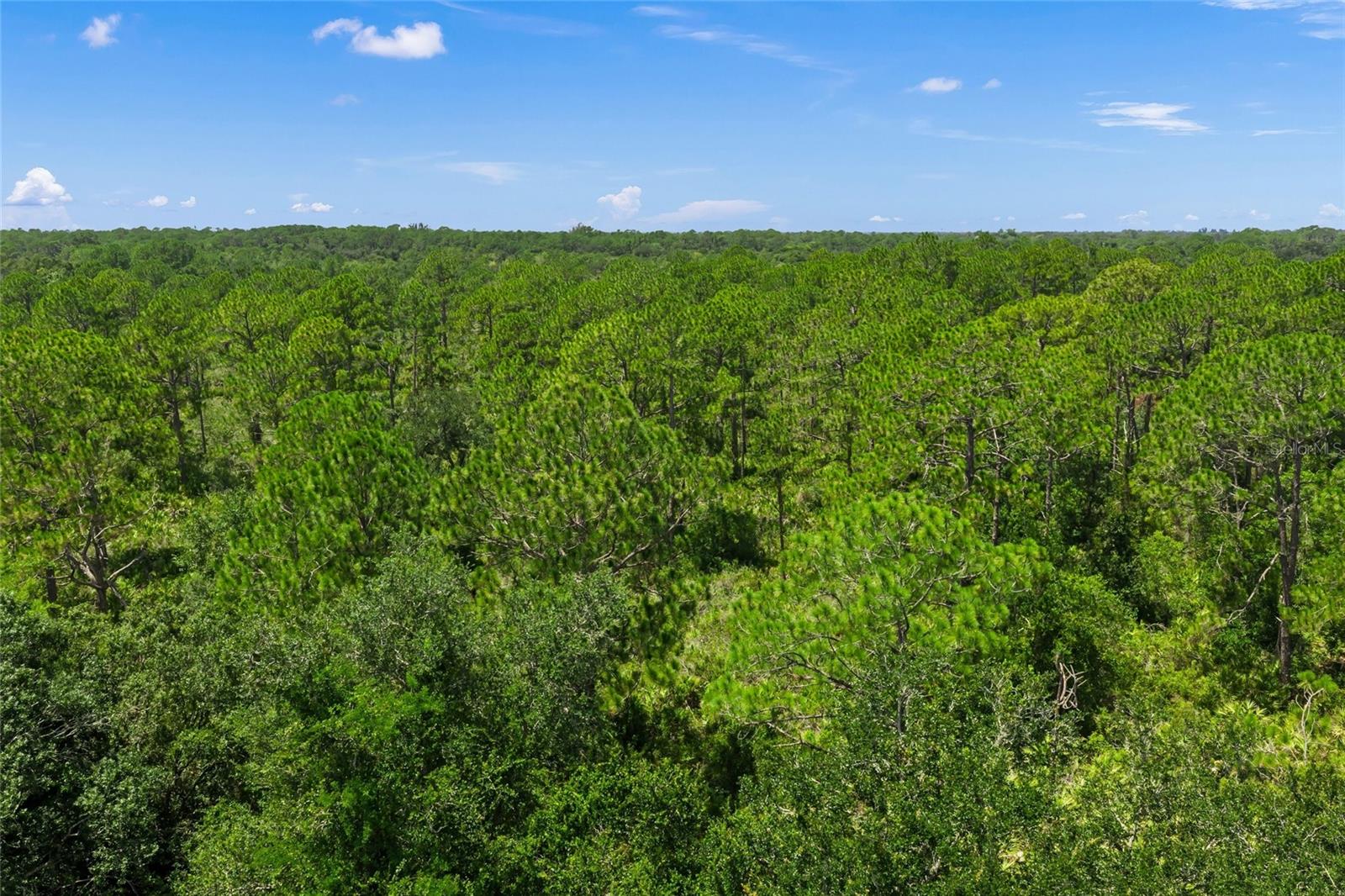 8488 EAGLE PRESERVE WAY — photo 46
