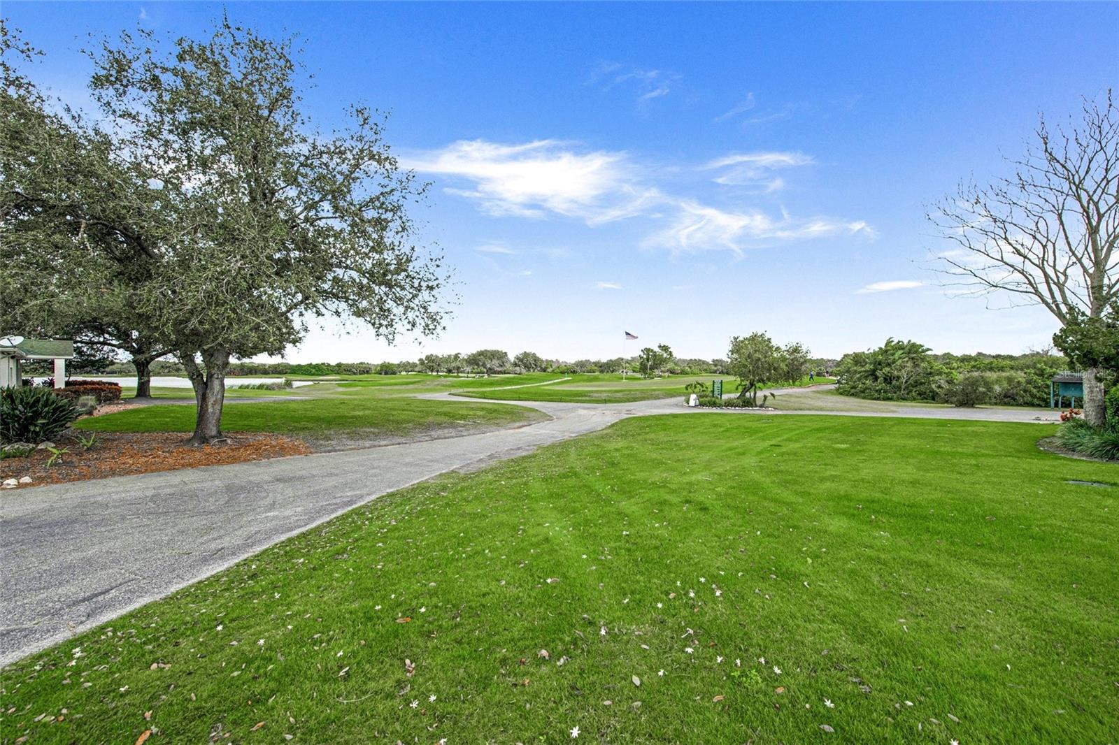 8488 EAGLE PRESERVE WAY — photo 54
