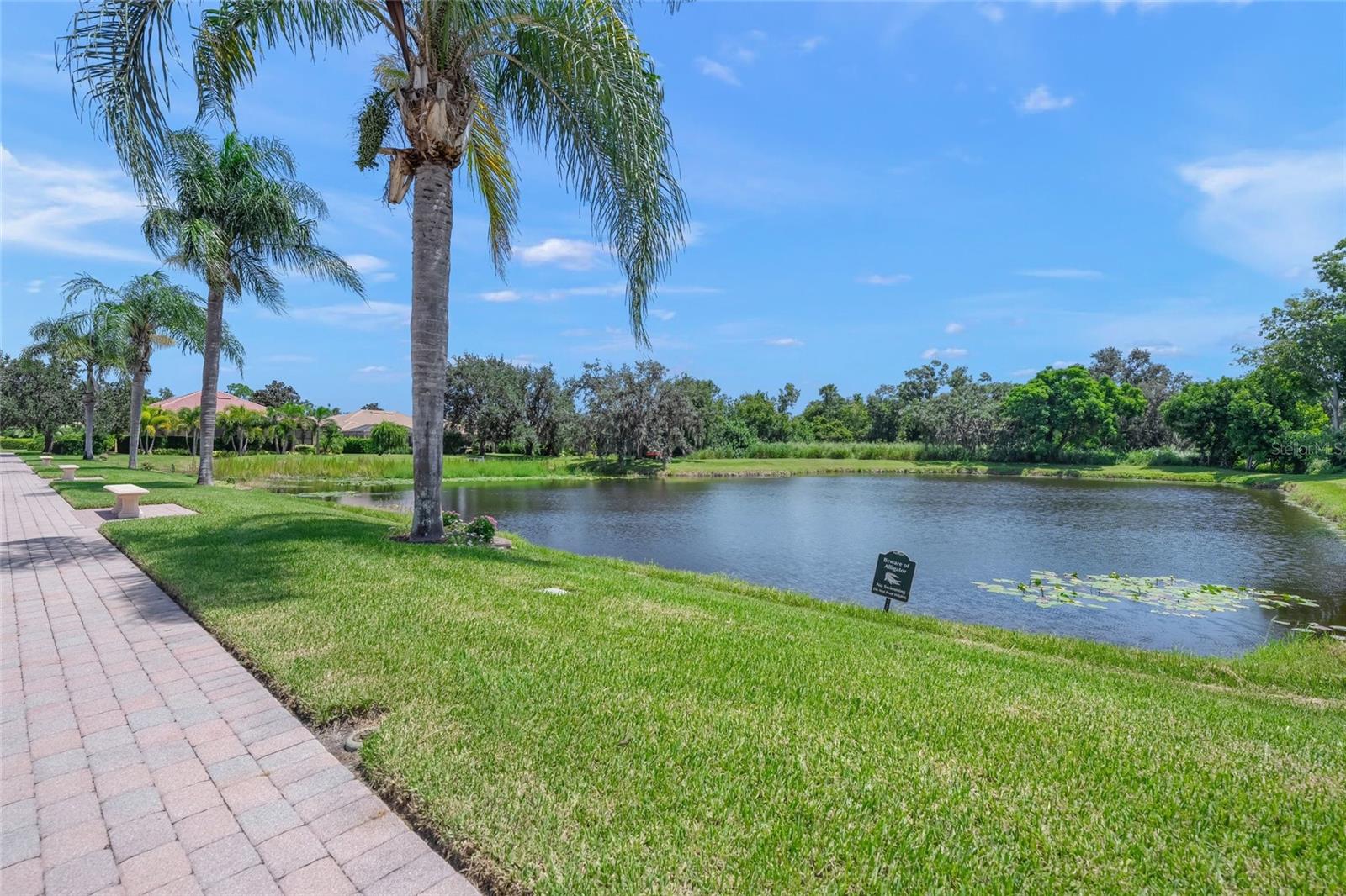 4665 TUSCANA DR — photo 56