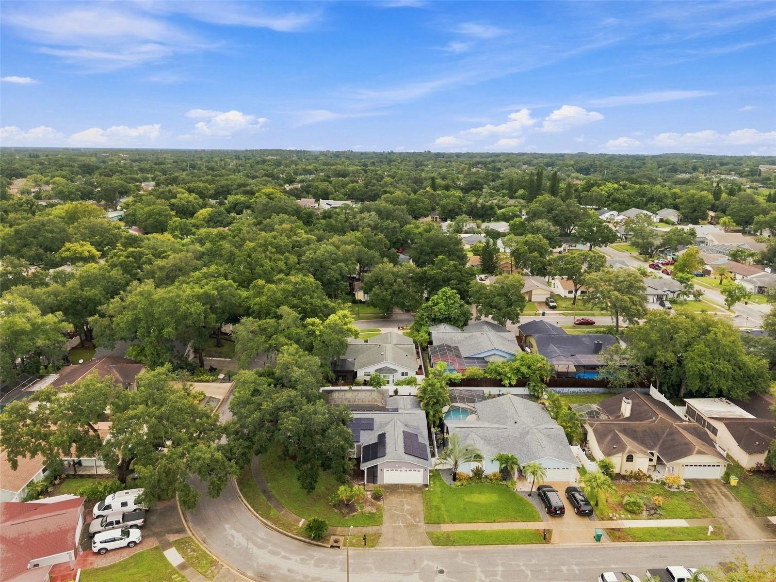 2475 GULFBREEZE CIR — photo 66