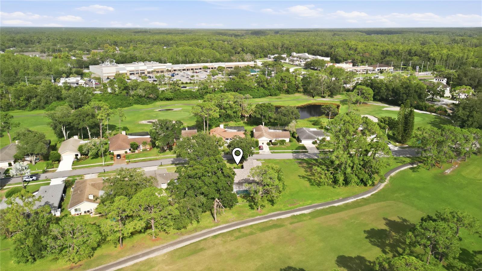 3506 FAIRWAY FOREST DR — photo 28