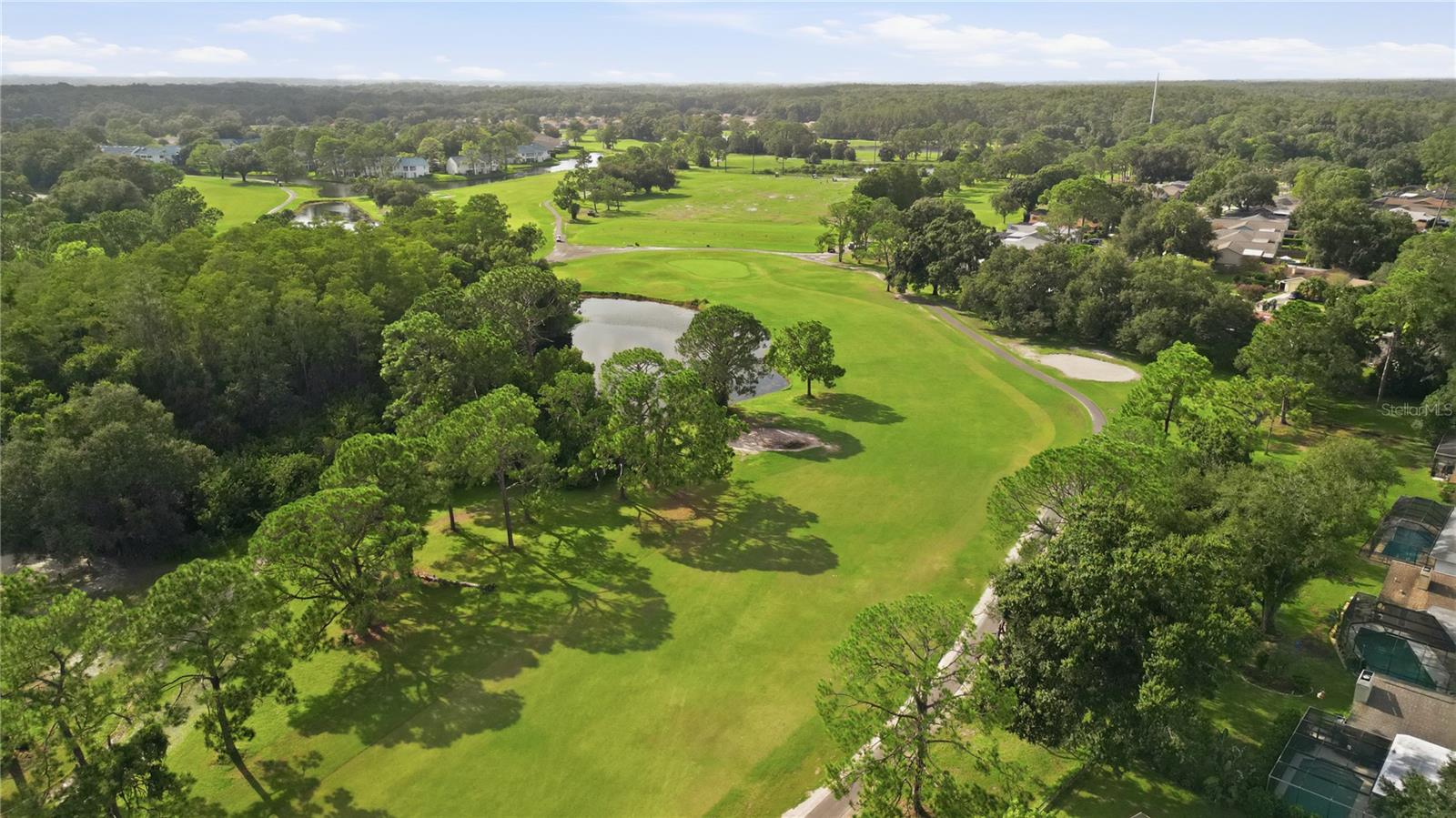 3506 FAIRWAY FOREST DR — photo 24