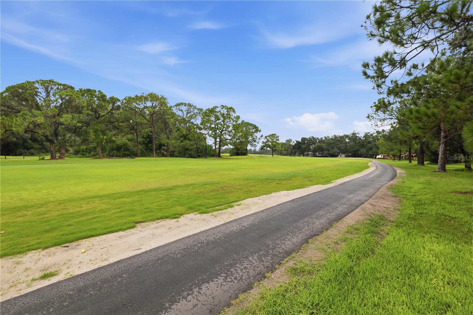 3506 FAIRWAY FOREST DR — photo 35