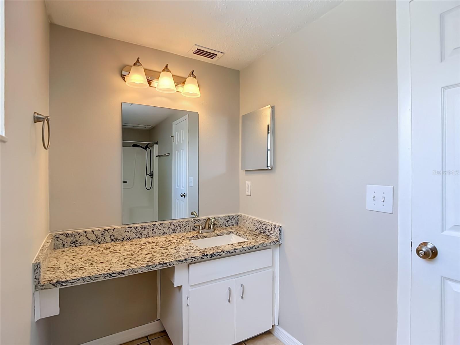6701 VILLAGE GROVE CT — photo 21