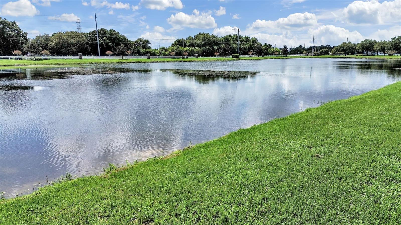 11908 FERN BLOSSOM DR — photo 4