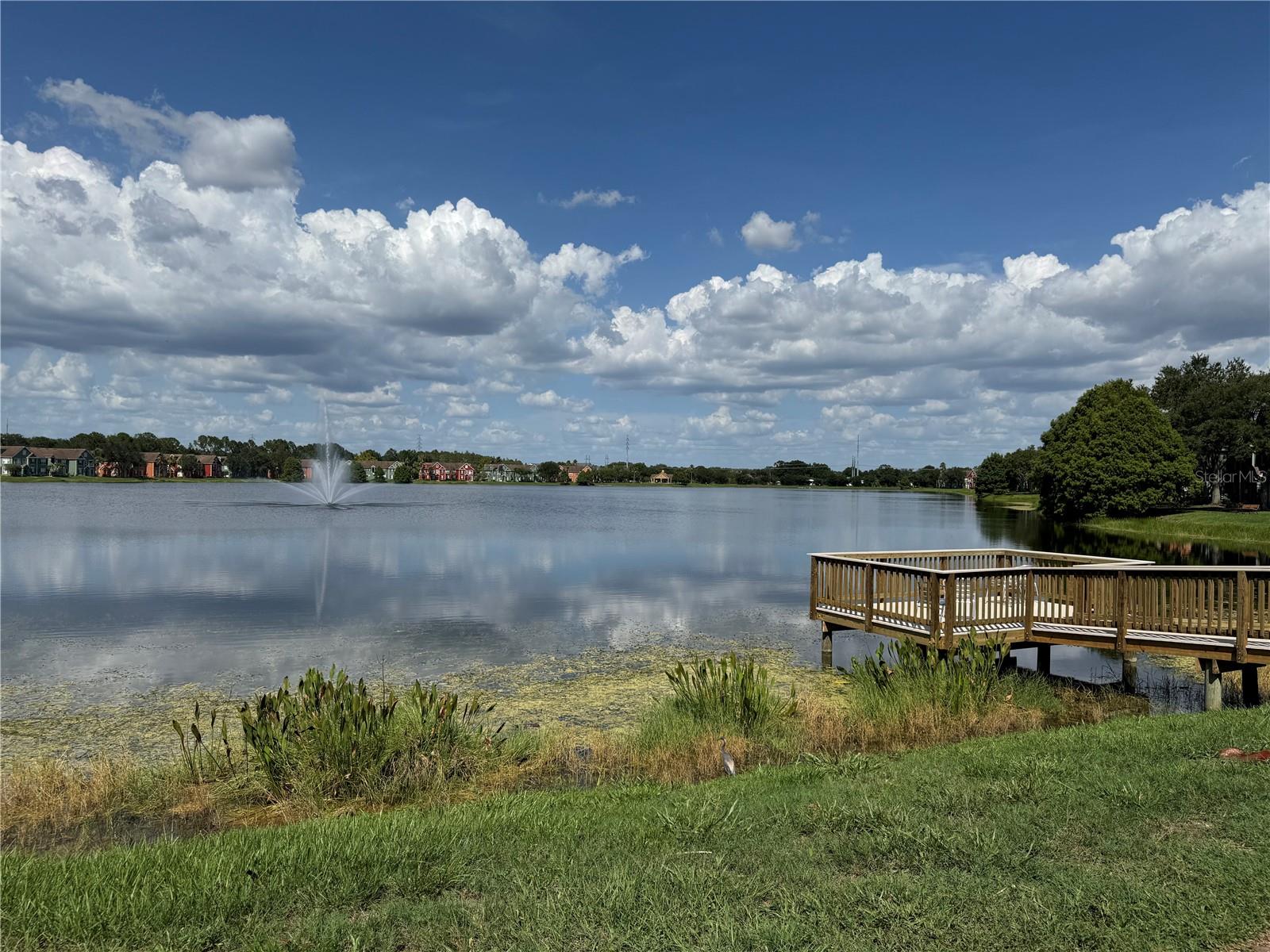 9288 LAKE CHASE ISLAND WAY — photo 40