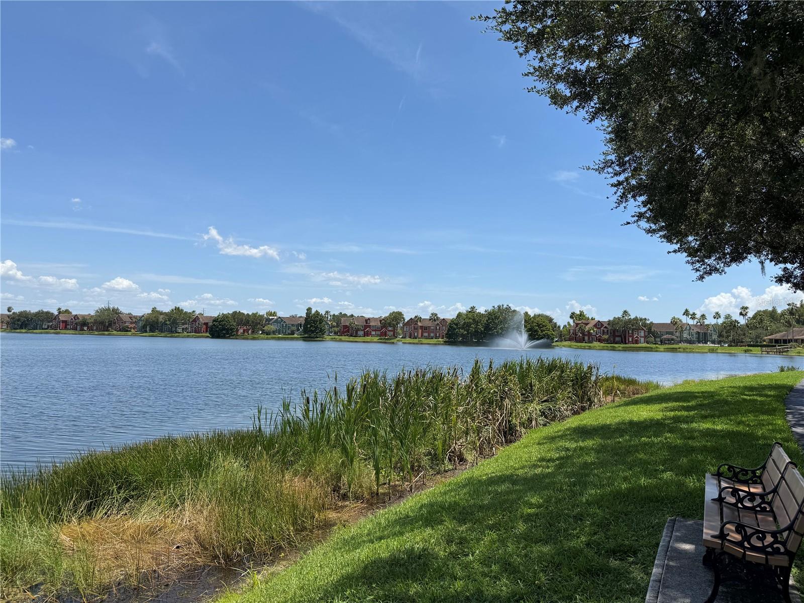 9288 LAKE CHASE ISLAND WAY — photo 2