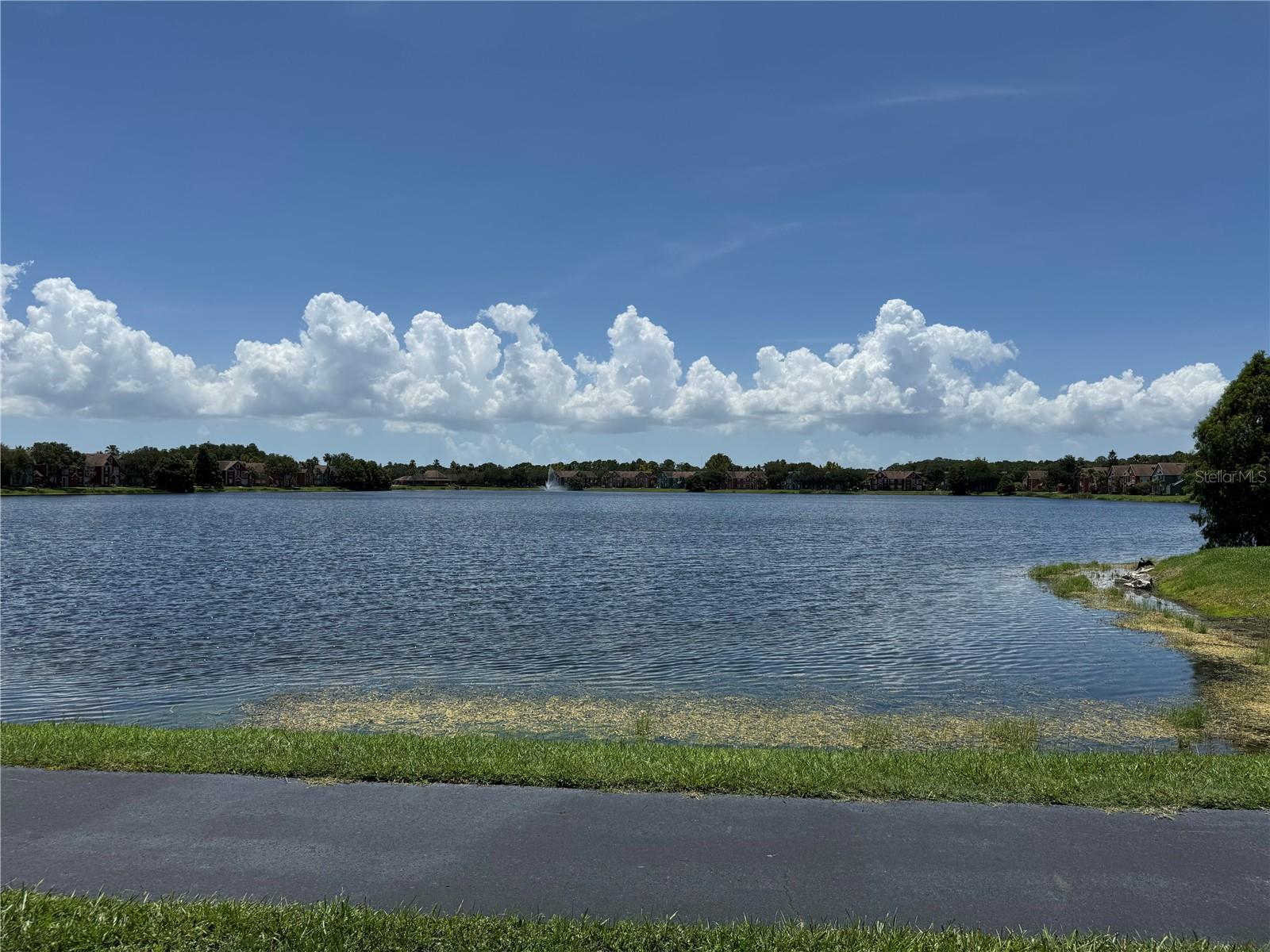 9288 LAKE CHASE ISLAND WAY — photo 54
