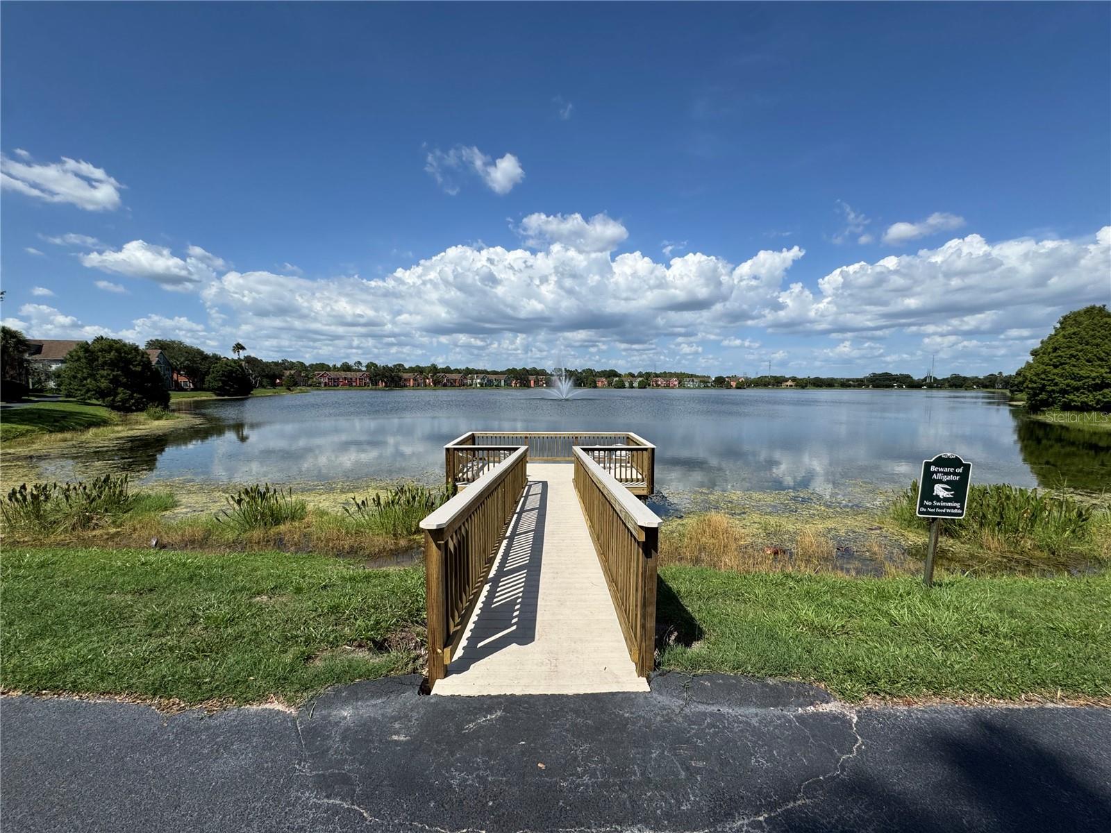 9288 LAKE CHASE ISLAND WAY — photo 38
