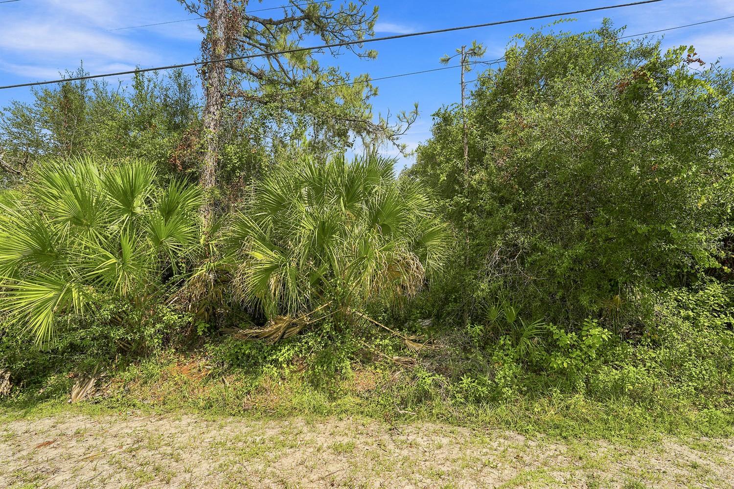 HENDERSON LN — photo 3