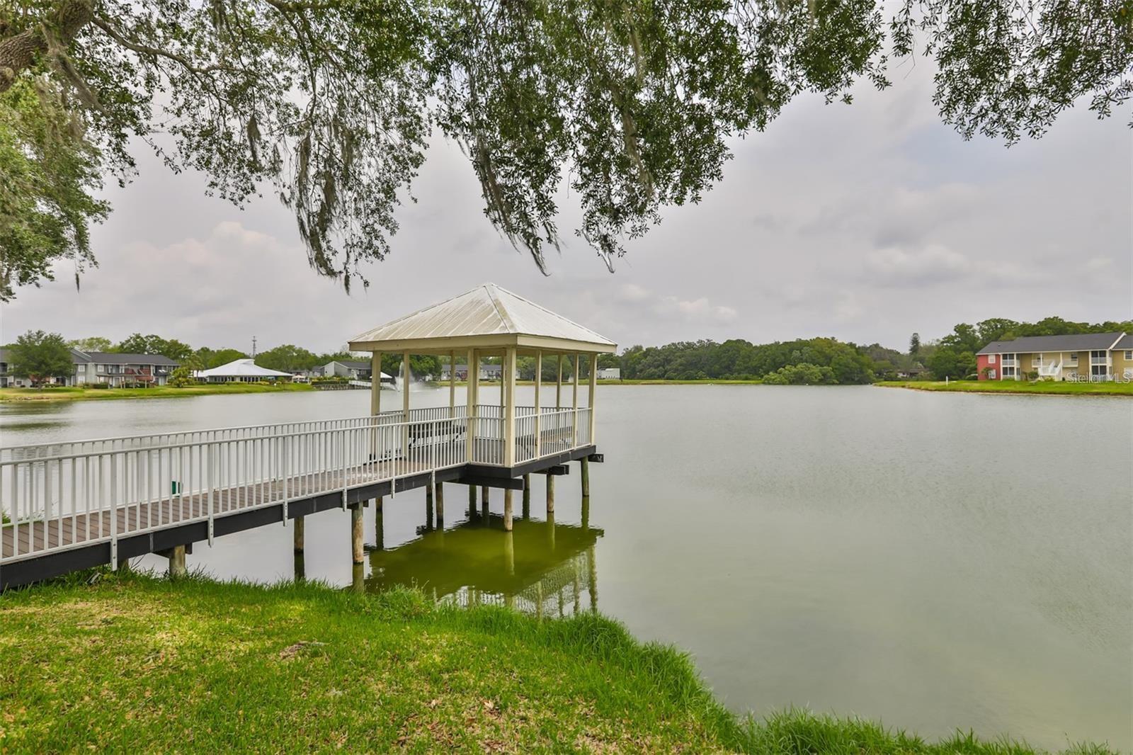 215 LAKE BROOK CIR #201 — photo 15